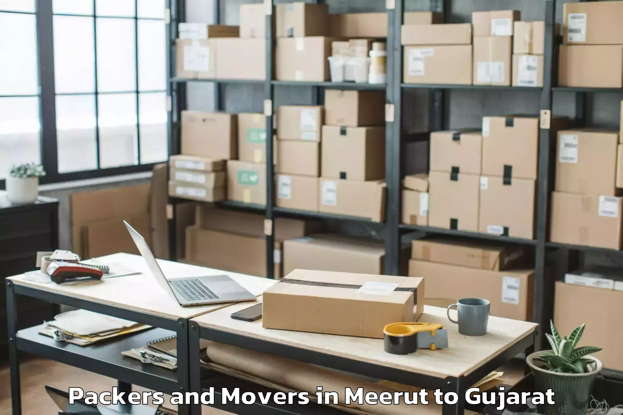 Get Meerut to Jhagadia Packers And Movers